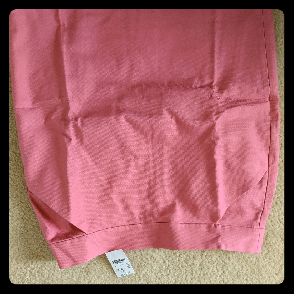 JCrew Skirt